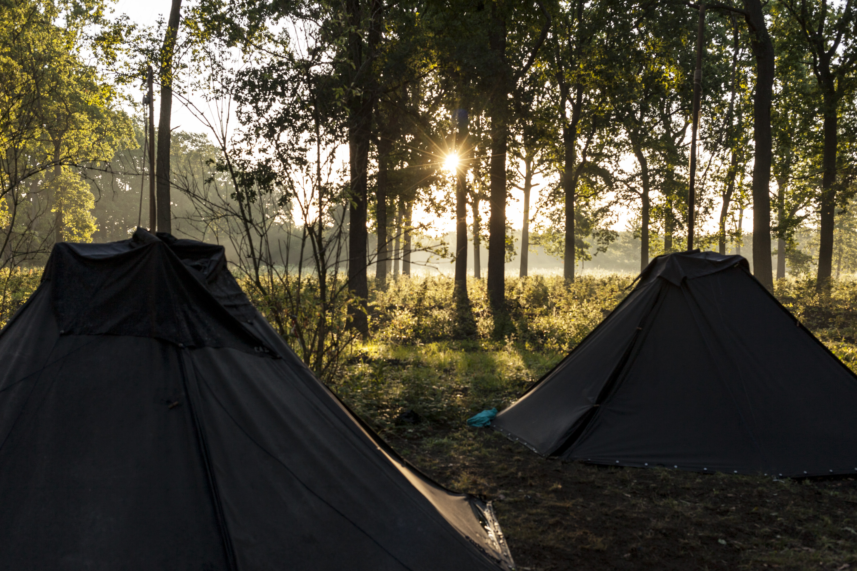 Zelte im Sonnenlicht
