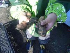 Erlebnisse auf dem Lernbauernhof