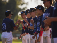 Internationales Baseballturnier „Supercup 2024“