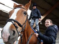 Klettern und Reiten im Nordstadtdschungel